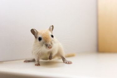 Similar image 16925464