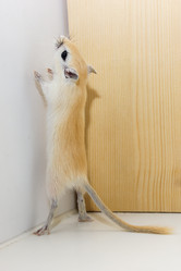 Similar image 16925465