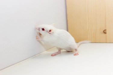 Similar image 16925468