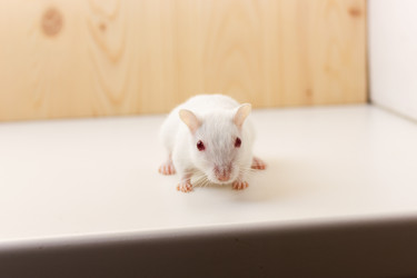 Similar image 16925469