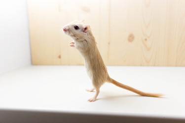 Similar image 16925474