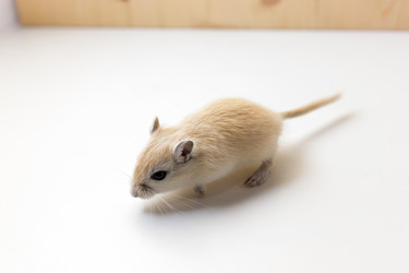 Similar image 16925475