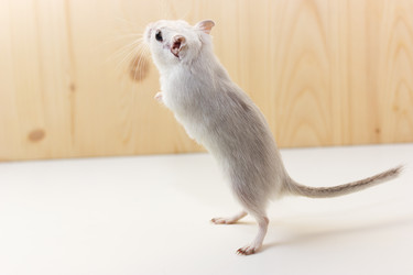 Similar image 16925479