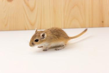 Similar image 16925483