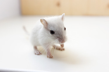 Similar image 16925498