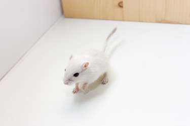 Similar image 16925501