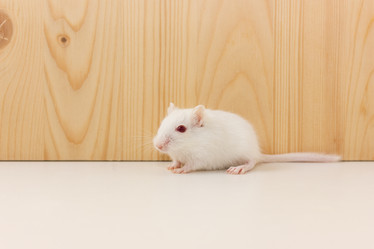 Similar image 16925502