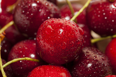 Similar image 16923088