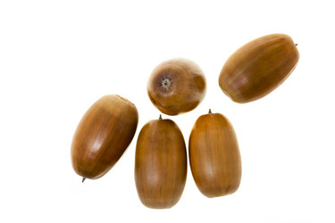 Similar image 16923094