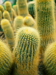 Similar image 17543498