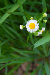 Similar image 17543459