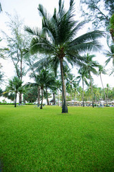 Similar image 17543480