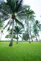 Similar image 17543481