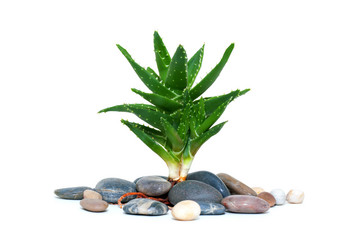 Similar image 17543485