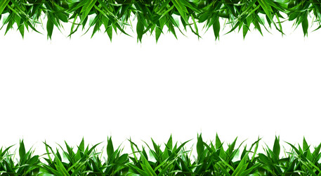 Similar image 17543464