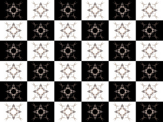 Similar image 16942883