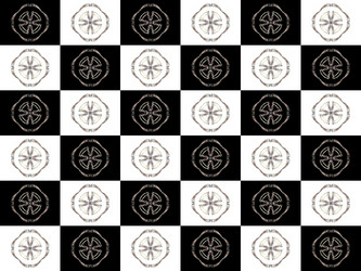 Similar image 16942898