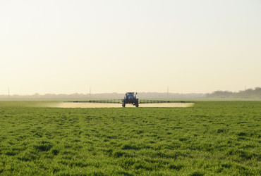 Similar image 17539993