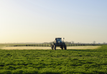 Similar image 17541954