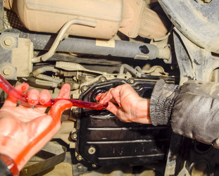 Similar image 17539796