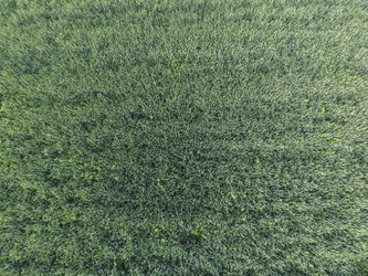 Similar image 17539942