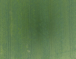 Similar image 17539975