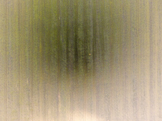 Similar image 17541865