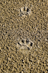 Similar image 17541871