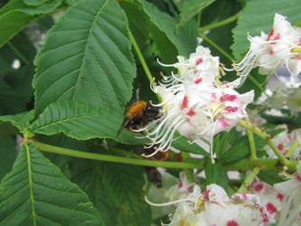 Similar image 16927135