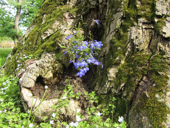 Similar image 16927156