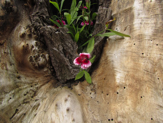 Similar image 16927172