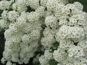 Similar image 16927173