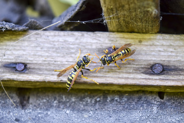 Similar image 17543368