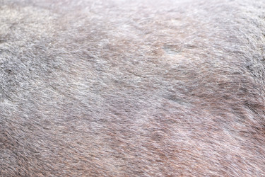 Similar image 17239862