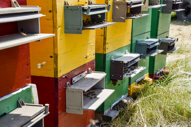 Similar image 17239867