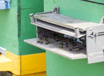 Similar image 17239869