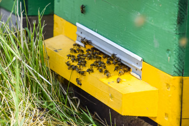 Similar image 17239870