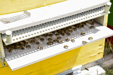 Similar image 17239872