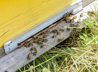 Similar image 17239873