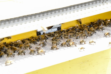 Similar image 17239874