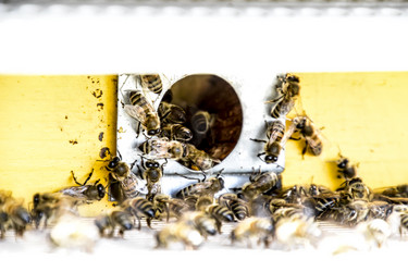 Similar image 17239876