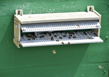 Similar image 17240684