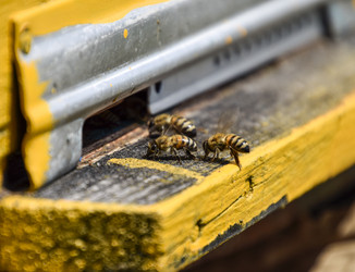 Similar image 17239922