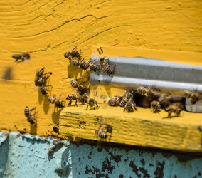 Similar image 17239950