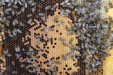 Similar image 17240704