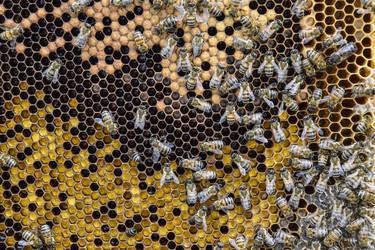 Similar image 17240736