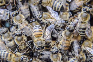 Similar image 17240754