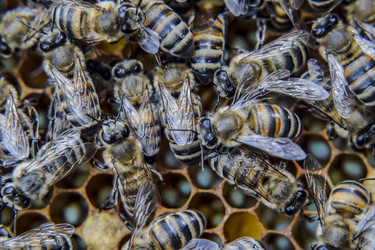 Similar image 17241068