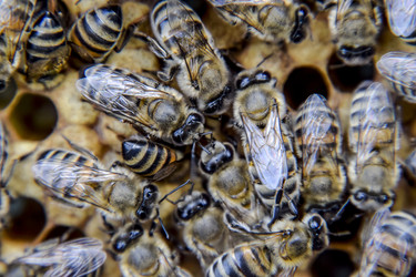 Similar image 17539800