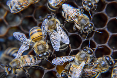 Similar image 17539815